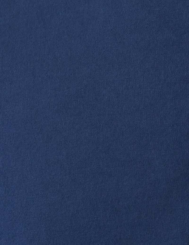 20 インクブルー